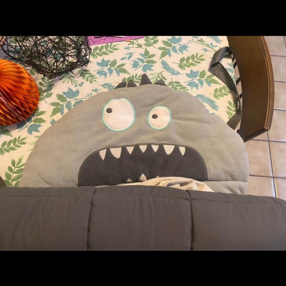 Pottery Barn Kids Monster Nap Mat
